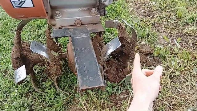 Прополка междурядий картофеля мотоблоком