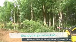 Измельчитель мелколесья (мульчировщик) МН25.mp4