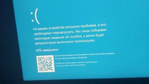 птица + синий экран смерти #птица #компьютер #синийэкран #notmyfault