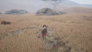 New Player Guide - Wild Savannah (Animalia Survival)