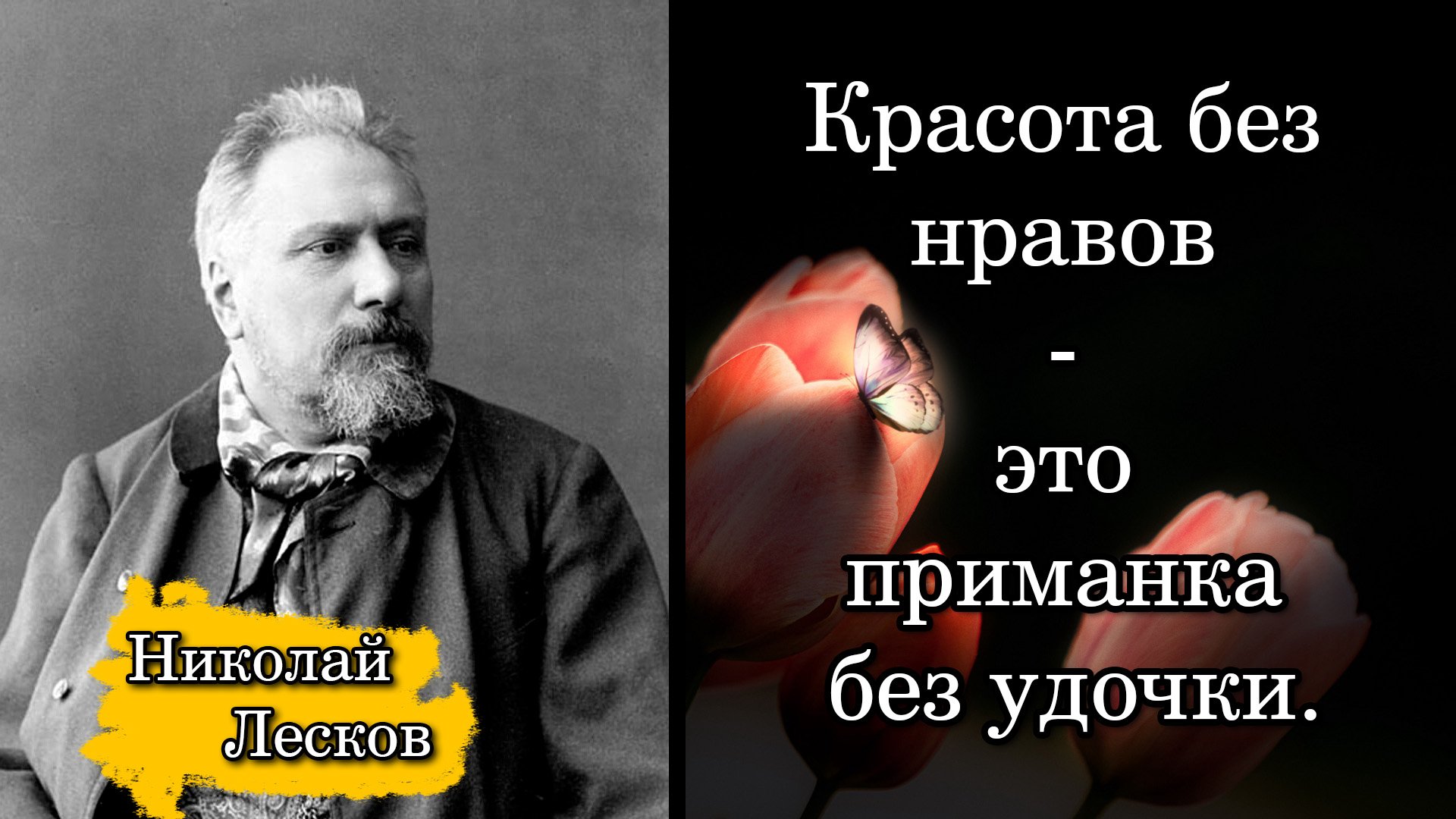 Столичные Нравы Это