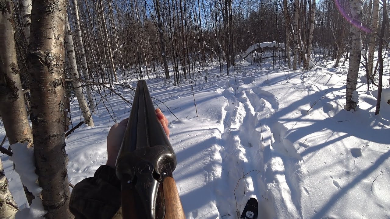 Охота с гончими на зайца 2023г. Закрытие охоты 2024. Закрытие охоты 2024. Весенняя охота 2022 сроки. Лучшие налёты и выстрелы охота на уток.