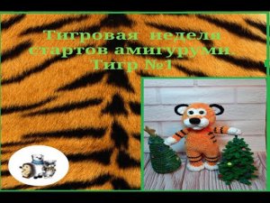 Тигровая неделя стартов. День1. Тигр №1.