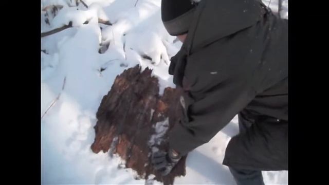 ВЫЖИВАНИЕ СО СВЯТОЗАРОМ СУРОВЫМ ЗИМНЯЯ СКАЗКА смотреть онлайн