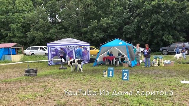 Моно САО 25 августа 2018 г. Владивосток смотреть онлайн