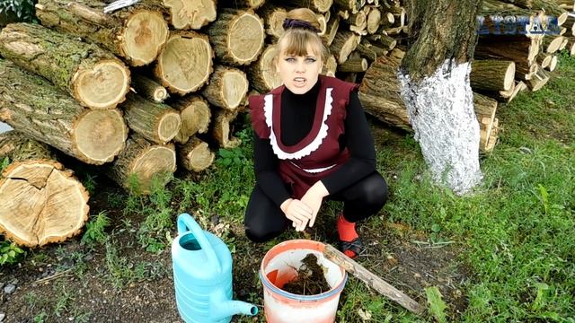 КОРОВЯК удобрение. Свойства приготовление расход жидкого органического удобрения коровяка.