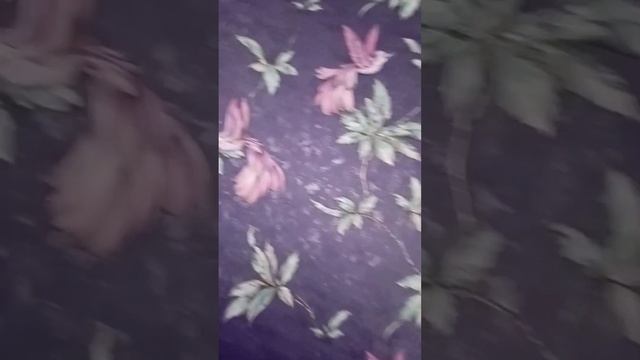 Делаю ремонт на кухне. смотреть онлайн