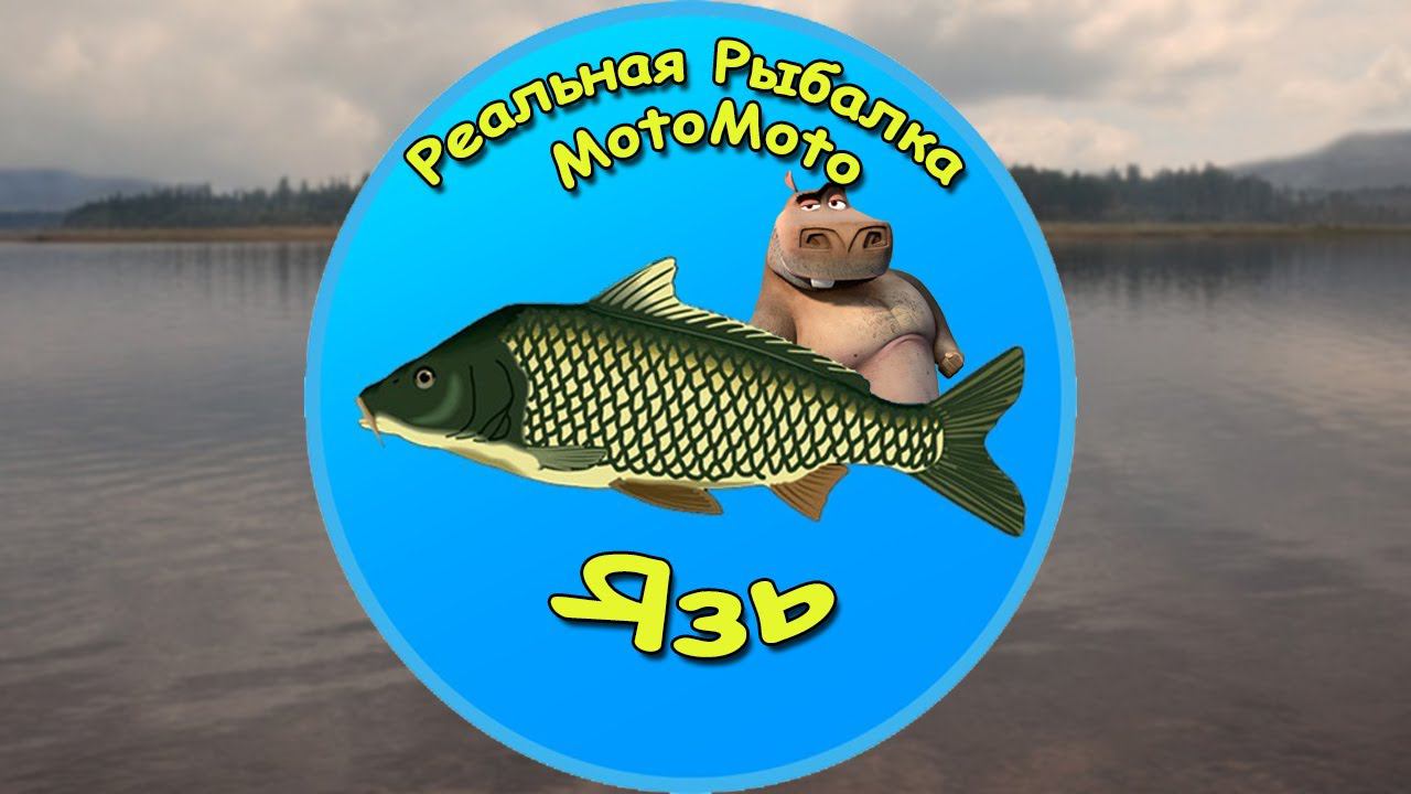 Как поймать Язя на Братском водохранилище [NEW] | Реальная Рыбалка