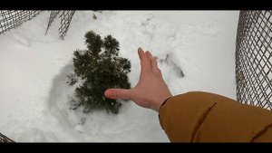 ЕЛЬ КОНИКА ИЗ ПЯТЕРОЧКИ / ДВА ГОДА СПУСТЯ