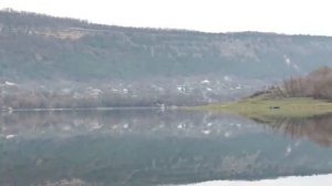 Alexandru Pelin  -  Tata