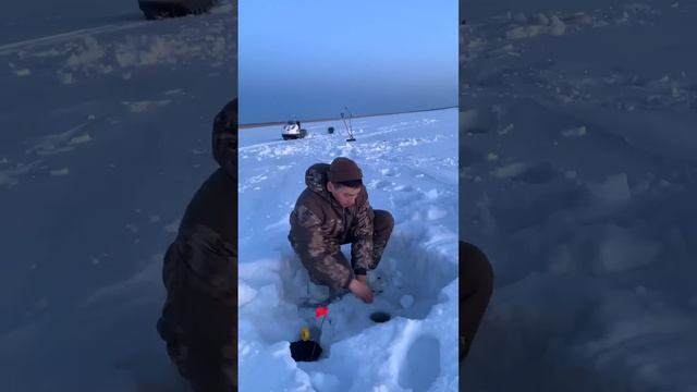 Северный деликатес, Макса. Подаётся в сыром виде.#якутия #рекомендации #налим #деликатес смотреть онлайн