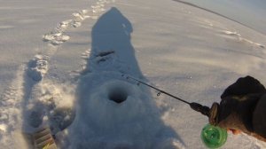 Балансир Lucky John Mebaru. Ловля окуня.