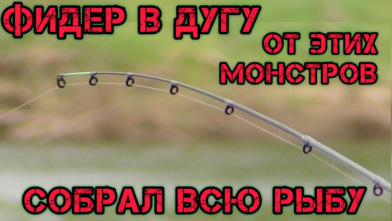 ФИДЕР В ДУГУ от ЭТИХ МОНСТРОВ СОБРАЛ ВСЮ РЫБУ на РЕКЕ смотреть онлайн