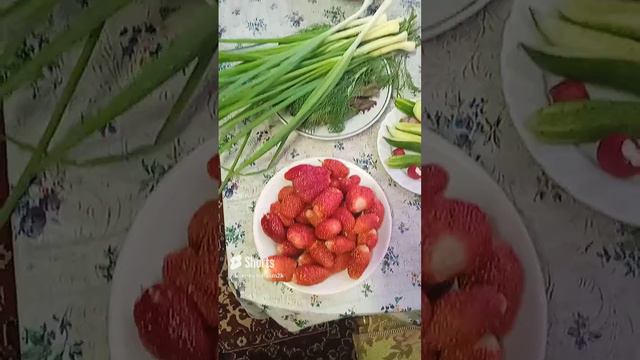 Урожай с Огорода 6 июля 2024 #дача #лето
