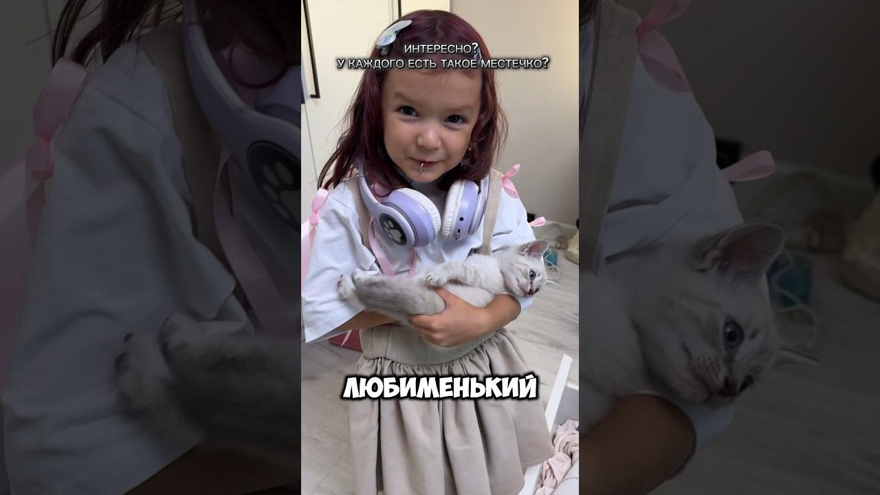 У моего котенка есть нычка, чтобы его никто не нашел  #мимика #мурмур #милана #миланахаметова #мяу