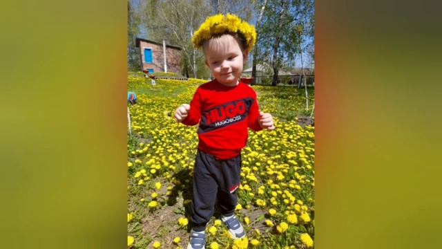 #эколята дошколята#защитники природы#малышикарандаши