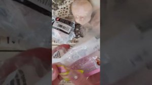 Полимерная глина для лепки кукол. Часть 1. Кукольная мастерская Елены Флоря