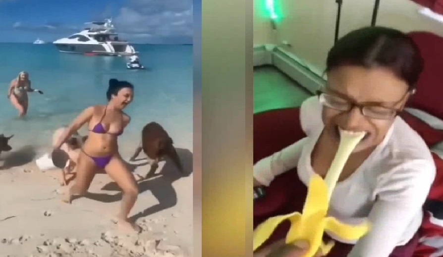 Смешные приколы Февраль 2023 #86 смотреть онлайн