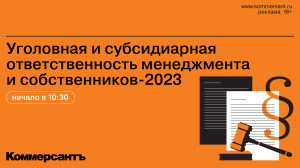 Уголовная и субсидиарная ответственность менеджмента и собственников-2023