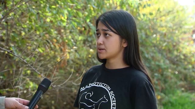 Экопатруль: Собачьи приюты смотреть онлайн