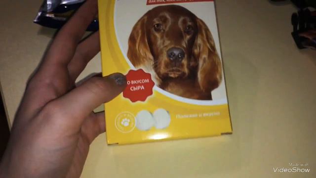 Покупки 🛍 из зоомагазина) новая амуниция😘 смотреть онлайн