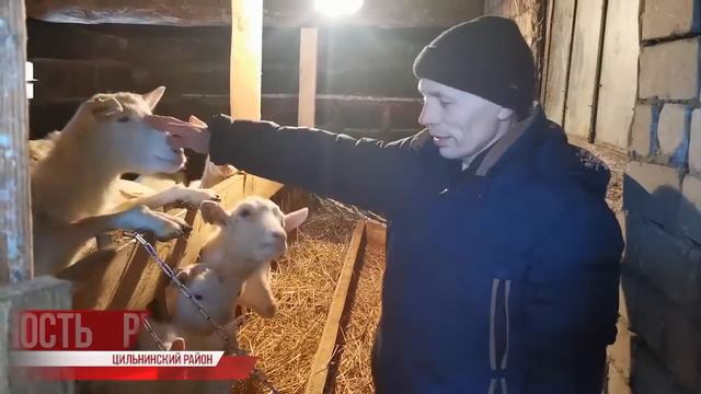 На лугу пасутся ко... Агростартап - это просто смотреть онлайн