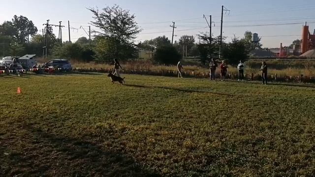 5 V   ALIZE wom Nati Kirshen (Гугл Супер Агент – Ulfina v. Aleks Birkenstrasse) 74 +++