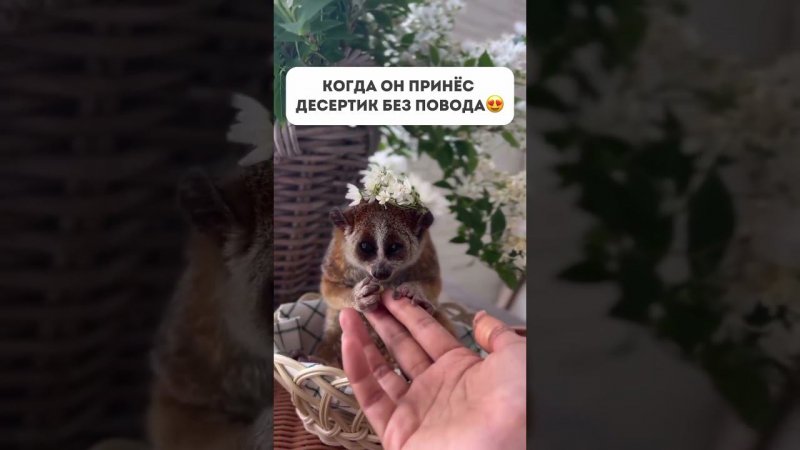 22 июля 2024 г.