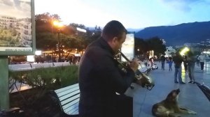 Отдых в Крыму. Ялта, вечерняя набережная . Музыка из к.ф. " Ва-банк "