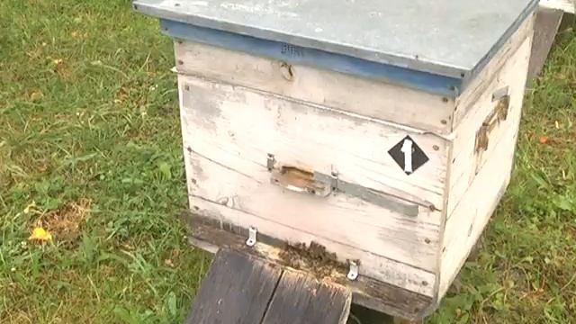 СЛАДКИЙ ПРАЗДНИК! смотреть онлайн