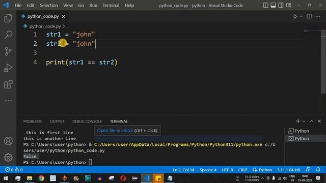 Python Tutorial #30 - String in Python Programming