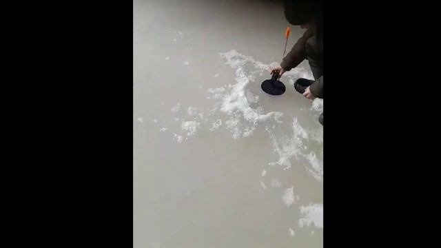 5 часть на живца