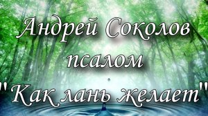 Псалом "Как лань желает" - Андрей Соколов