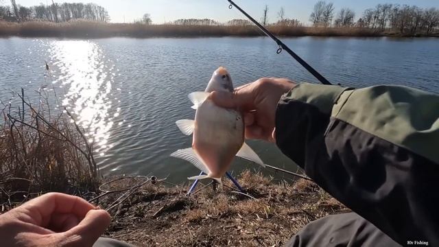 Тут льда и снега нет, зато есть рыба, ловля на фидерную снасть, зимняя рыбалка в конце года смотреть онлайн