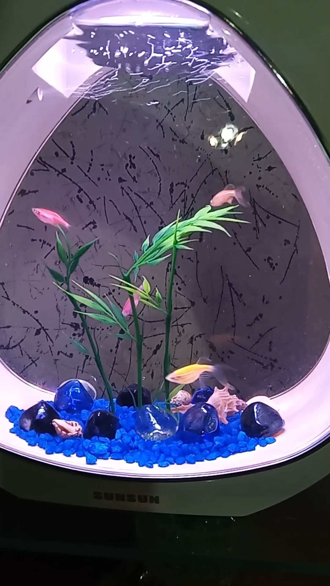 Мини аквариум. смотреть онлайн