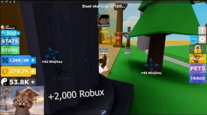 THANK YOU FOR 1,000,000 SUBS!! - Roblox Ninja Legends Ultimate Noob Challenge