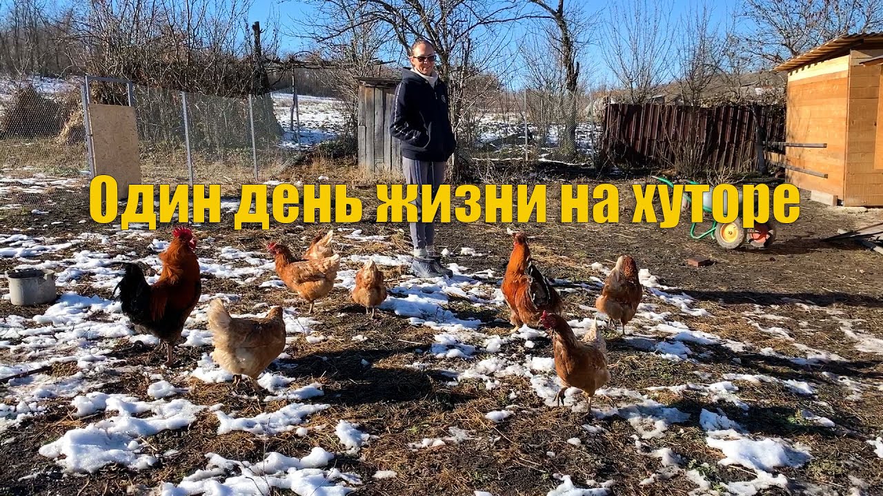 Хутор стуканов видео. Хутор Стуканов Краснодарского края. Маргарита Хутор Стуканов. Хутор Стуканов на Дзене. Стуканов Хутор последнее.