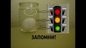 КАК ПРОВЕРИТЬ ТУХЛОЕ ЯЙЦО ИЛИ НЕТ ??? Эксперименты дома ➄