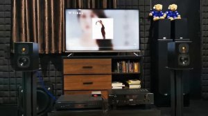TAGA Harmony HTA-800 + Monitor Audio One Gold