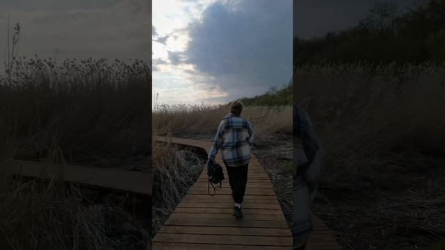 Куда сходить в Питере. Обзор мест Петербурга. Эко тропа"У Лукоморья"