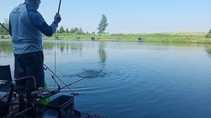 Карп на херабуну в Фишка Берег.