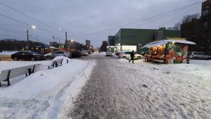 Санкт-Петербург: Будапештская ул., 49