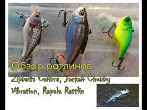 Обзор ртлинов Zipbaits Calibra, Jackall Chubby Vibration, Rapala Rattlin