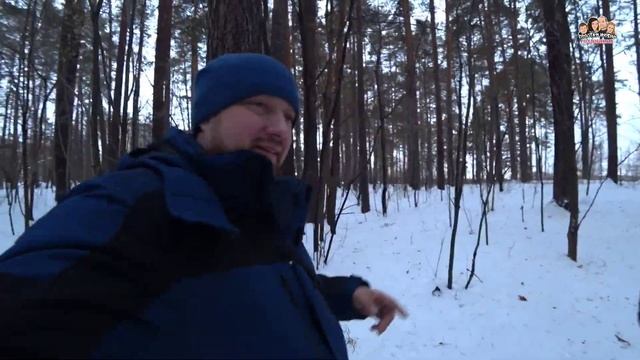 ВЛОГ! Гуляем в лесу с АРЧИКОМ ?Йоркширский терьер на прогулке/Зимняя одежда для Йорка/Простая жизнь
