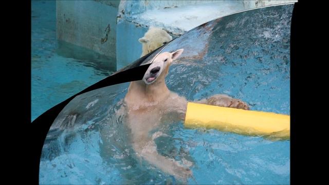 Момо ピーチ смотреть онлайн