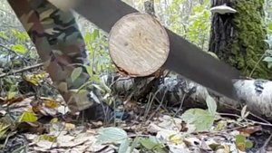 тест ножевки из двуручной пилы