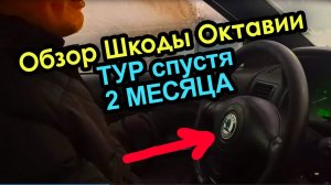 Обзор Skoda Octavia Tour 2008 года, спустя 2 месяца активной эксплуатации. Шкода Октавия отзыв.