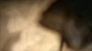 Defekte Webasto Thermo Top C/Z repariert