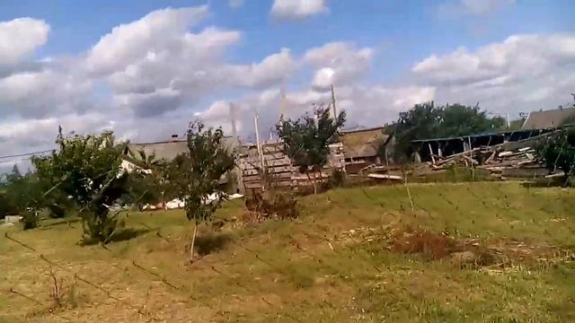 Второй участок под персики и нектарин 2021 г смотреть онлайн