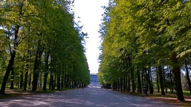 Приморский парк победы СПб | Петроградский район Санкт Петербург #паркпобеды #петроградка #спб